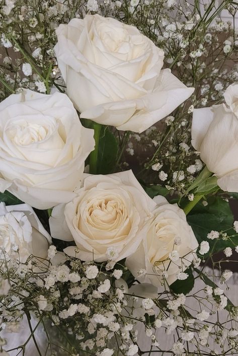 Single White Rose, Light Feminine, White And Pink Roses, Nothing But Flowers, Flower Therapy, Favorite Flowers, Pretty Stuff, White Rose, Pretty Flowers