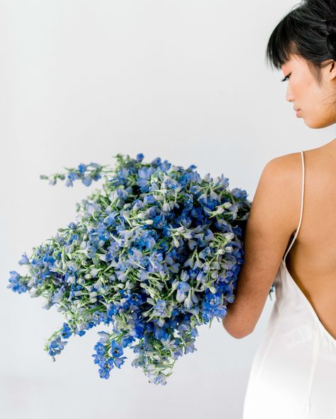 19 Single-Flower Wedding Bouquets for Minimalist Brides #WeddingBouquets #MinimalistWedding #WeddingInspiration #WeddingFlowers | Martha Stewart Weddings - Single-Flower Wedding Bouquets for Minimalist Brides Delphinium Wedding Bouquet, Delphinium Bouquet, Dahlia Wedding Bouquets, Protea Wedding, Tulip Wedding, Peony Bouquet Wedding, Martha Weddings, Spring Wedding Bouquet, Minimalist Bride