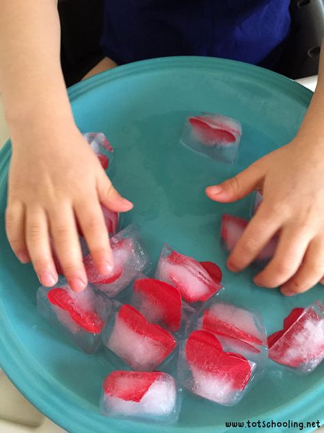 Thawing a Frozen Heart: Sensory Science for Kids | Totschooling - Toddler and Preschool Educational Printable Activities Toddler Heart Activities, Valentines Process Art For Toddlers, Valentines Day Activities For Toddlers Sensory Play, Valentines Day Process Art For Toddlers, Frozen Flowers Sensory Ice Play, Sensory Play For Babies, Infant Projects, Valentines Day Crafts For Preschoolers, Sensory Science