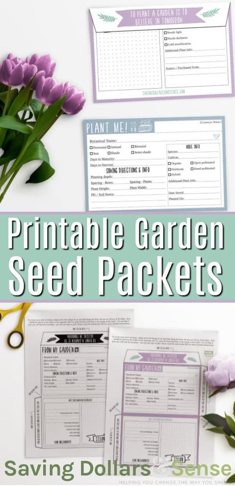 Printable Seed Packets | These garden seed storage packets are a nice and easy way to keep track of all of your seeds #gardening #printable #freebie #storage Printable Seed Packets, Seed Packet Template, Garden Seeds Packets, Gardening Printables, Cleaning Window Tracks, Seed Storage, Spring Planting, Home Greenhouse, Greenhouse Plans