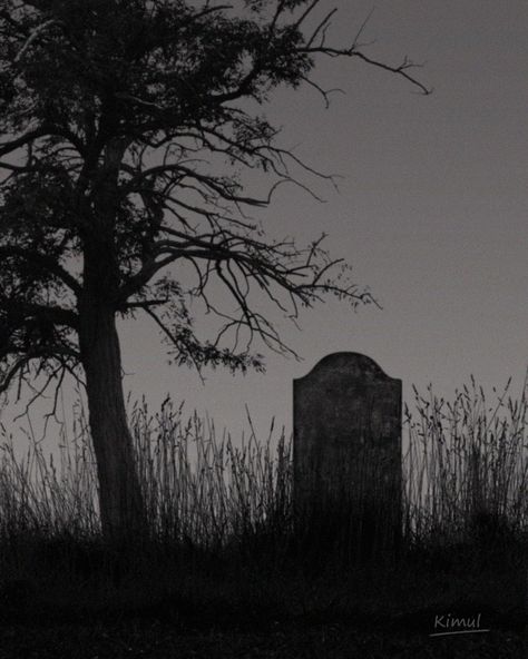 . Epitaph of the forgotten ---------- - Images taken from free stock photos website, edited in Photoshop. . #darkart #darkphotography #darkvibes #darknmoody_hunter #trees #treesofdarkness #gothic #gothicvibes #ethereal_dark #gothicvibes #gothicart #tombstones #graveyard #cemetery #kimul #kimulart Grave Aesthetic, Dark Graveyard, Graveyard Aesthetic, Ethereal Dark, Grave Stone, Dark Images, Photo Website, Magic Book, Dark Photography