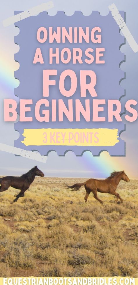 Ground Work For Horses, Horse For Beginners, English Horse Riding, Horsemanship Patterns, Horse Training Ground Work, Horse Lifestyle, Horse Grooming Supplies, Western Horsemanship, Horse Grooming Kit