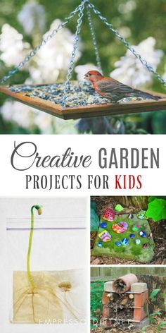 Creative Garden Projects, Projects To Do With Kids, Kids Gardening Projects, Garden Projects For Kids, Insect Activities, Whimsical Garden Art, Gardening Projects, School Garden, Creative Gardening