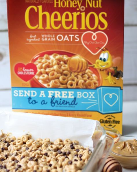 Pan of Honey Nut Cheerio Protein Bites with cereal box in background Cheerios Snacks, Cheerios Recipes, Protein Bites Recipe, Healthy Kids Snacks, Honey Nut Cheerios, No Bake Recipes, Protein Bar Recipes, Butter Honey, Easy Salmon Recipes