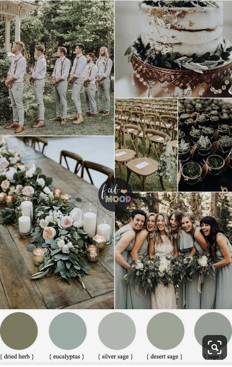 Wedding Colors Sage Green, Wedding Colors Sage, Sage Green Wedding Theme, Green Wedding Theme, Sage Wedding Colors, Sage Green Wedding Colors, Wedding Theme Color Schemes, Wedding Color Pallet, Green Themed Wedding