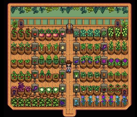 a stardew valley shed layout with rows of garden pots growing different crops. Stardew Valley Layout Aesthetic, Stardew Valley Water Farm Layout, Stardew Valley Farm Layout Four Corners Aesthetic, Stardew Valley Starter Farm Layout, Stardew Valley Crop Layout, Shed Layout Stardew Valley, Stardew Valley Farm Layout Four Corners, Stardew Valley Shed Design, Stardew Shed Layout