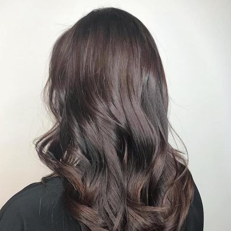 Image of the back of a woman’s head showing dark ash brown hair, created using Wella Professionals. Mushroom Brown Color Formula, Dark Ash Brown Hair Formula, Rich Ash Brown Hair, Deep Ash Brown Hair, Dark Ash Brown Hair Colour, Medium Ash Brown Hair, Dark Ash Brown Hair, Dark Ash Brown, Light Ash Brown Hair