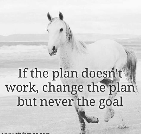 Rodeo Quotes, Equine Quotes, Cowgirl Quote, Horse Quotes Funny, Inspirational Horse Quotes, Horse Riding Quotes, Equestrian Quotes, Cowboy Quotes, Racing Quotes