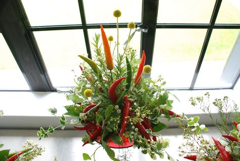 Chilli Cookoff, Curry Plant, Ball Flowers, Australian Country, Rosemary Sage, Chilli Peppers, Vermont Wedding, Chilli Pepper, Mexican Party