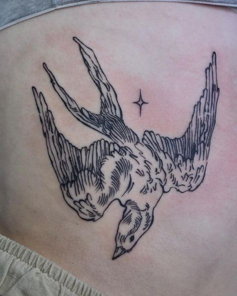 American Traditional Tattoo Ideas, Traditional Tattoo Ideas, Sparrow Tattoo, Funky Tattoos, Female Tattoo Artists, Stomach Tattoos, Bird Tattoo, American Traditional Tattoo, Birds Tattoo