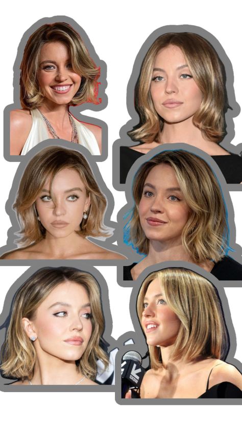 Sydney Sweeney Bob styled multi Sydney Sweeney Bob Hair, Elizabeth Swan Hair, Sydney Sweeney Short Hair, Sydney Sweeney Hair, Sydney Sweeney, Bob Styles, Up Hairstyles, Bob Hairstyles, Hair Looks