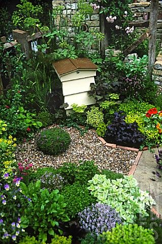 AJ501040- BEE HIVE IN EDIBLE HERB GARDEN AT RHS CHELS : Asset Details -Garden World Images Gravel Planting, Beehive Garden, Beekeeping Business, Bee Apiary, Small Beds, Honey Bee Garden, Backyard Bee, Garden World, Backyard Beekeeping