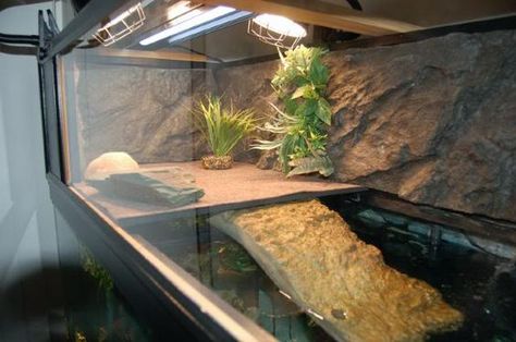 red eared slider tank ideas - Google Search Red Eared Slider Tank, Turtle Setup, Turtle Basking Area, Aquatic Turtle Habitat, Red Ear Turtle, Aquatic Turtle Tank, Turtle Tank Setup, Turtle Enclosure, Google Ideas