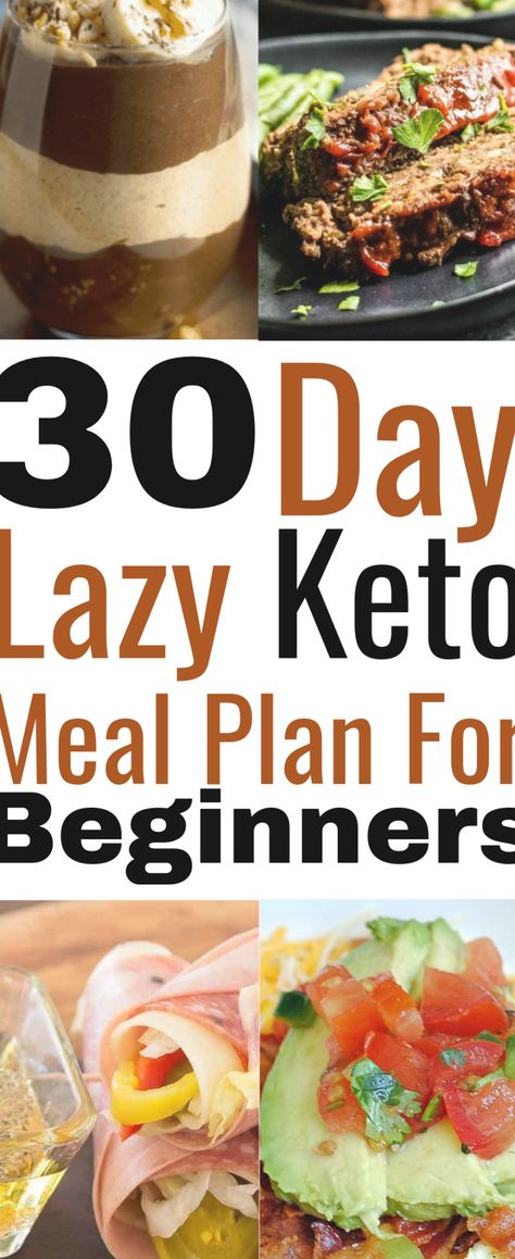 Diet For Beginners Meal Plan, Beginner Meal Planning, Diet For Beginners, Carbohydrate Diet, Low Carbohydrate Diet, Low Carbohydrates, Evening Meals, Carb Diet, Keto Diet For Beginners