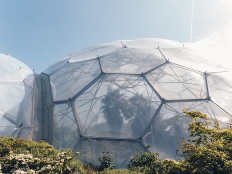 Biome Architecture, Bee Character, Rainforest Biome, Earthship Biotecture, Geodesic Dome Greenhouse, The Eden Project, Dome Greenhouse, Eden Design, Dome Structure