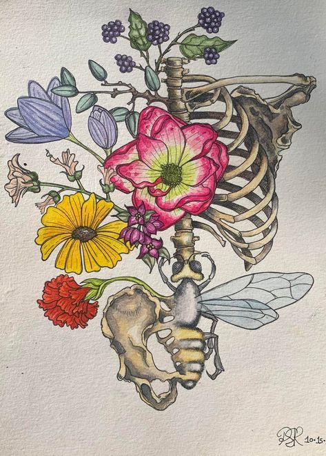 Rib Cage Flowers, Contact Improv, Rib Cage Drawing, Skeleton Drawings, Give And Receive, Gcse Art Sketchbook, Biology Art, Amazing Tattoos, A Place For Everything