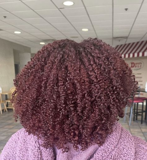 natural hair, 3c/4a, red curly hair, burgundy hair, curls Burgundy Natural Hair, Cherry Red Hair Color, Burgundy Curly Hair, Deep Burgundy Hair, Burgundy Brown Hair, Burgundy Red Hair, Dark Burgundy Hair, Burgandy Hair, Deep Red Hair