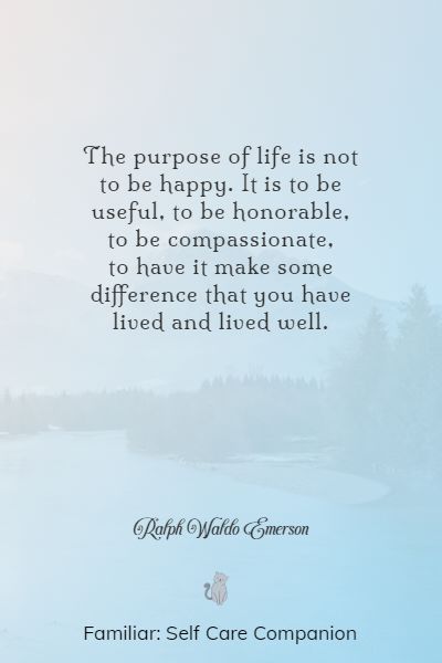 Found My Purpose Quotes, Soul Purpose Quotes, Soul Searching Quotes Purpose My Life, Purpose Quotes Inspiration, Soul Searching Quotes, Awakened Woman, Finding Purpose In Life, Purpose Quotes, Be Powerful