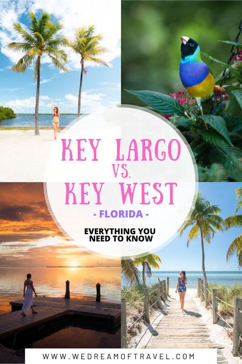 Discover everything you need to know about Key West vs. Key Largo to help you plan your perfect Florida Keys vacation. Things To Do In Key Largo Florida, Key Largo Outfit Ideas, Bungalows Key Largo Florida, What To Pack For Key West Vacation, Key Largo Florida Things To Do In, Flordia Keys, Keys Aesthetic, Key West Florida Vacation, Florida Keys Vacation