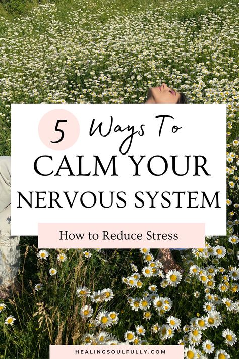 calm the nervous system Tips To Regulate Nervous System, Regulating Your Nervous System, Healing The Nervous System, How To Heal Your Nervous System, How To Calm Your Nervous System, How To Regulate Your Nervous System, Regulate Nervous System, Biohacking Hacks, Overcome Burnout