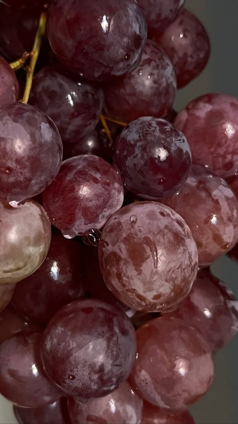 Grape Color Aesthetic, Red Grapes Aesthetic, Purple Fruit Aesthetic, Purple Grapes Aesthetic, Grape Aesthetic, Grapes Aesthetic, Purple Fruit, Bunch Of Grapes, Foodie Instagram