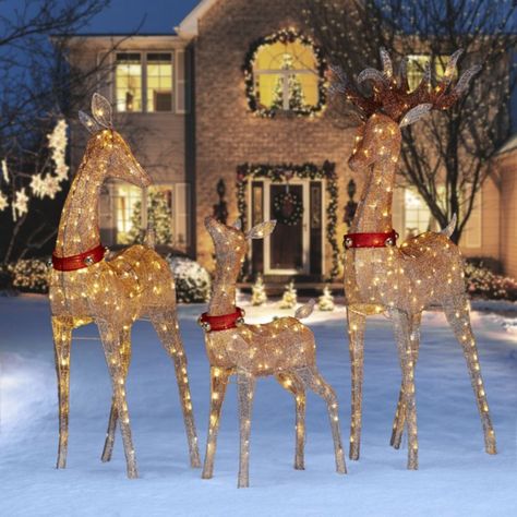 Member's Mark Twinkling Mesh Deer Family, Set of 3 (Brown) - Sam's Club Country Christmas Decorating Ideas, Outdoor Reindeer, Deer Decorations, Amazon Christmas Decorations, Christmas Deer Decorations, Christmas Decor Outside, Christmas Lawn Decorations, Holiday Yard Decorations, Best Christmas Decorations