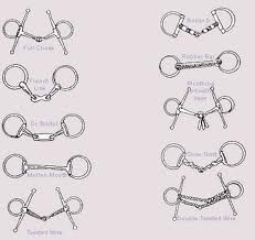 snaffle bits Horse Biomechanics, Bits For Horses, Horse Grooming Kit, Guitar Theory, Horse Farm Ideas, Horse Braiding, Horse Brushes, Horse Information, Horse Riding Quotes