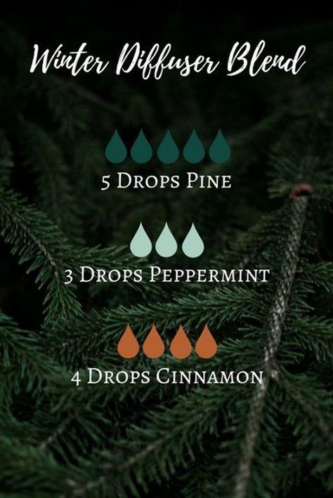 This essential oil diffuser blend composed of pine, peppermint and cinnamon is perfect for a holiday of Yule. #winterblend #essentialoils Christmas Diffuser Blends, Essential Oil Combinations, Essential Oil Diffuser Blends Recipes, Young Living Essential Oils Recipes, Essential Oil Diffuser Recipes, Oil Diffuser Recipes, Essential Oil Blends Recipes, Essential Oil Mixes, Diffuser Blend