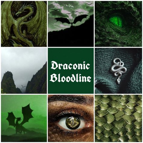 magic comes from a dragon, either as an ancestor or in you, draconic blood flows in your veins Dnd Sorcerer Draconic Bloodline, Dragon Moodboard Aesthetic, Draconic Sorcerer Aesthetic, Draconic Bloodline Sorcerer, Dragon Moodboard, Draconic Bloodline, Draconic Sorcerer, Half Orc Barbarian, Dnd Sorcerer