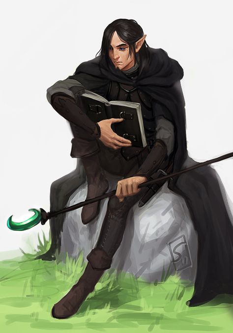 Half Elf Wizard Male, Elf Wizard Male, Elf With Beard, Half Elf Warlock, Half Elf Male, Half Elf Druid, Sorcerer Warlock, Elf Sorcerer, Wizard Cloak