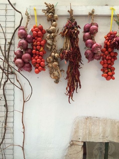 Root Cellar, Vegetable Storage, Puglia, Vegetable Garden, Onions, Peppers, Food Storage, Garden Design, Garlic