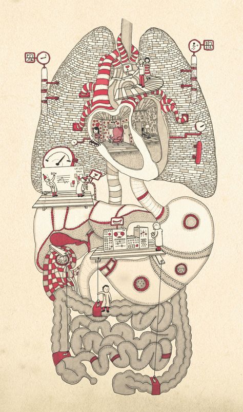 Medical Wallpaper, Biology Art, Graphic Design Collection, Medical School Inspiration, Human Anatomy Art, Medical Anatomy, Medical Art, Medical Illustration, Art And Illustration