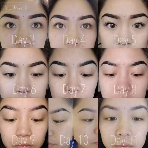 https://encrypted-tbn0.gstatic.com/images?q=tbn:ANd9GcRAxbztW6O7ytvoEjZD2vAYAwppHPJ3A3eixA&usqp=CAU Eyebrow Filling Tutorial, Tattoo Healing Stages, Brow Embroidery, Microblading Healing Process, Ombre Powder Brows, Tattoo Healing Process, Tattoo Healing, Tattoo Eyebrows, Ombre Brows