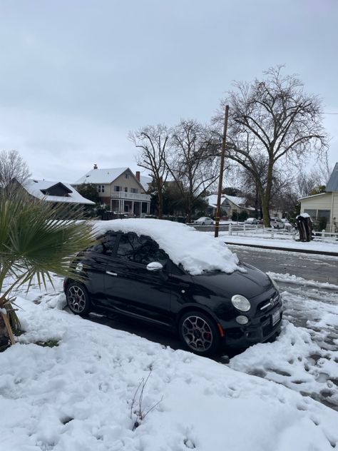 Black Fiat 500, Fiat 500 Black, New Fiat, Mini Car, First Car, Mini Cars, My Dream Car, Cute Cars, Fiat 500