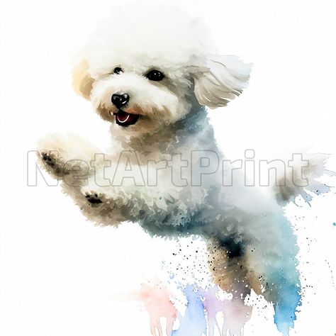 Bichon Frise Watercolor, Bichon Frise Dogs, Dog Clipart, Watercolor Gifts, Watercolour Gift, Watercolor Dog, Bichon Frise, Kids Prints, Watercolor Illustration