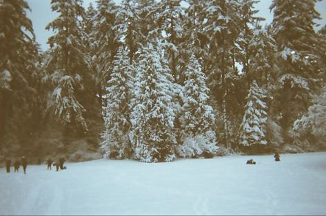 nature, winter wonderland, film aesthetic, disposable camera, snow, instagram inspo, filler pics Minnesota Winter Aesthetic, Winter Film Photography, Aesthetic Disposable Camera, Filler Pics, Minnesota Winter, Nature Winter, Christmas Films, Film Pictures, Canadian Winter