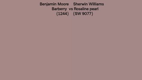 Sw Rosaline Pearl, Sherwin Williams Rosaline Pearl, Rosaline Pearl Sherwin Williams, Barberry Benjamin Moore, Benjamin Moore Barberry, Paint Color Chart, Paint Colors Benjamin Moore, Benjamin Moore Paint, Latest Colour