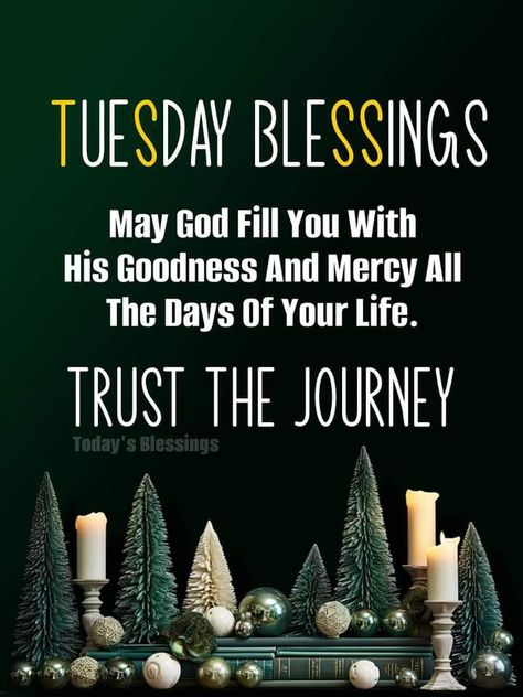 Trust The Journey, Morning Tuesday, Tuesday Blessings, December Quotes, Good Morning Msgs, God Blessings, Good Morning Tuesday, Gospel Quotes, Tuesday Quotes