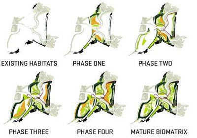 Phasing Diagram, Composition Layout, Ecological Architecture, Landscape Architecture Park, Landscape Diagram, Landscape Urbanism, Site Analysis Architecture, Landscape Architecture Graphics, Urban Analysis