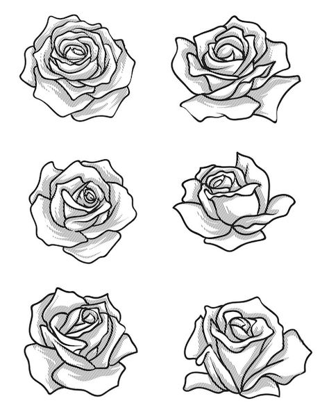 Rose linework Rose Linework, Rose Line Art, Tattoo Rose, Half Sleeve Tattoo, Rose Tattoos, Tattoo Sketches, Small Tattoos, Sleeve Tattoos, Geometric Tattoo