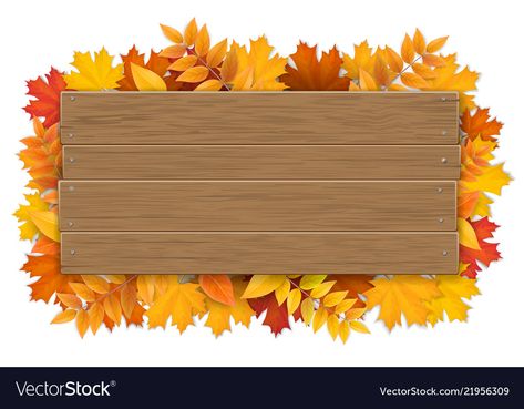 Autumn Tree Branch, Branch Vector, Fall Banner, Autumn Tree, Leaves Vector, Borders And Frames, Floral Poster, Flower Background Wallpaper, Maple Tree