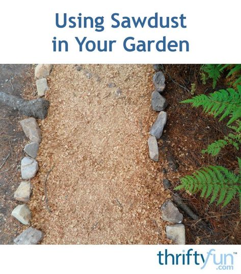 Adding sawdust to your garden can produce some benefits. This guide is about using sawdust in your garden. Uses For Sawdust, Sawdust Uses, Landscape Renovation, Garden Mulch, Mulch Landscaping, Small Yard Landscaping, Pergola Pictures, Hillside Landscaping, Permaculture Gardening