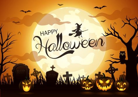 Background Horror, Inexpensive Halloween Costumes, Halloween Things To Do, Night Fairy, Photography Halloween, Halloween Logo, Backdrops For Photography, Witch Silhouette, Poster Halloween