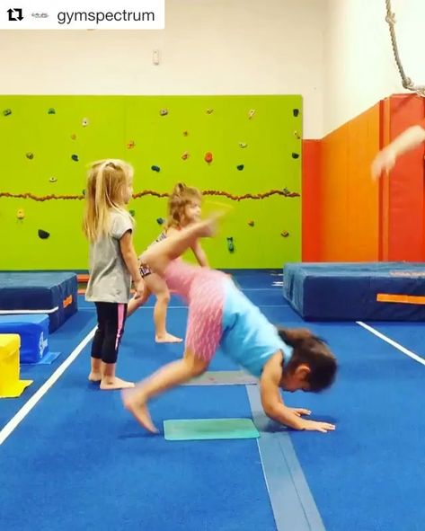 10 Ways to Get Beginner Gymnasts Ready for Handstands! – Recreational Gymnastics Pros Handstand Drills, Tumbling Drills, Recreational Gymnastics, Preschool Gym, Gymnastics Levels, Gymnastics Ideas, Gymnastics At Home, Gymnastics Conditioning, Toddler Gymnastics