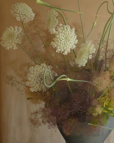 Smokebush Arrangement, Garlic Scapes, Pretty Plants, Whistler, In The Studio, Queen Anne, My Garden, Golden Hour, The Studio