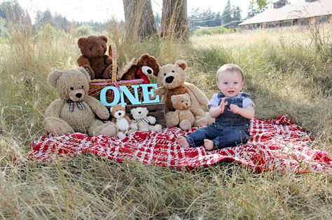 Teddy bear picnic. 1st birthday party Teddy Bears Picnic Photoshoot, Teddy Bear 1st Birthday Photoshoot, Teddy Bear First Birthday Photoshoot, Teddy Bear Picnic Photo Shoot, Teddy Bear Picnic 1st Birthday Party, Teddy Bear Picnic Invitation, Teddy Bear Picnic First Birthday, Teddy Bear 1st Birthday Boy, 1st Birthday Picnic