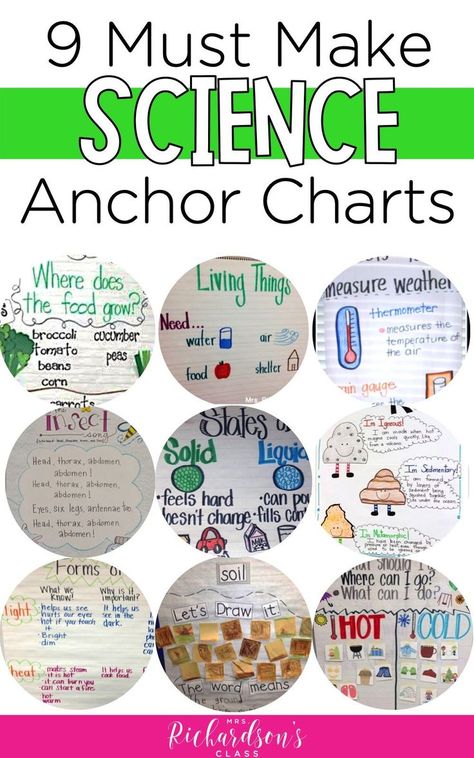 Are you a kindergarten or first grade science teacher? Then you need to check out these anchor charts you need to make for your classroom and students. These graphic organizers will help students master their learning and give them something to refer to throughout the day. #anchorcharts #firstgrade Elementary Science Teacher, Science Anchor Charts, Classroom Anchor Charts, First Grade Science, Third Grade Science, Interactive Science, 4th Grade Science, 6th Grade Science, 5th Grade Science