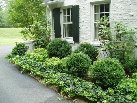 This looks nice and seems way low maintenance.  Excellent! Low Maintenance Landscaping Front Yard, Boxwood Landscaping, Styl Hampton, Foundation Planting, Front Landscaping, Low Maintenance Landscaping, Garden Shrubs, Dry Creek, Low Maintenance Garden