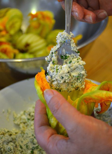 Stuffed Round Zucchini, Greek Zucchini Recipes, Squash Blossom Recipe, Fried Squash Blossoms, Shared Dining, Fried Squash, Pumpkin Flowers, Edible Flowers Recipes, Zucchini Flowers