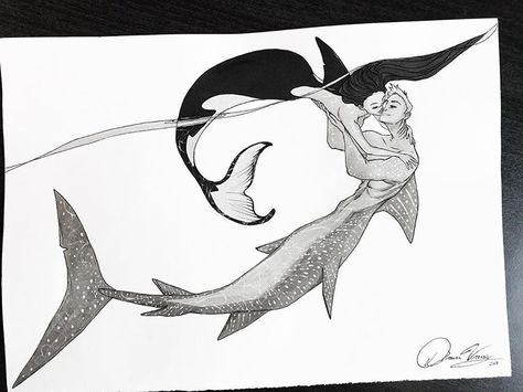 Orca Humanoid, Orca Oc Human, Orca Mermaid, Drawing Styles, Orca Whales, Unusual Things, Whale Shark, Fashion Drawing, Artist Inspiration